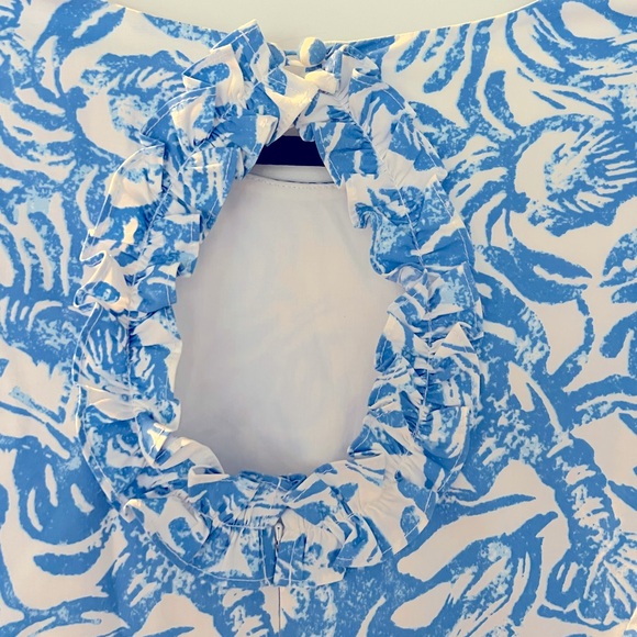 Lilly Pulitzer Blue Fiesta Stretch Dress - Picture 11 of 11